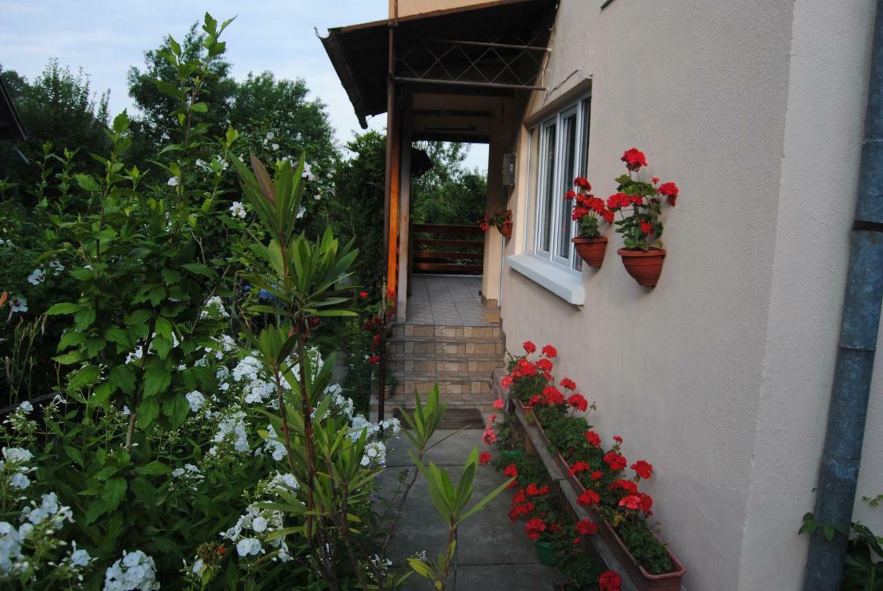 Casa Kelemen Lägenhet Sovata Exteriör bild